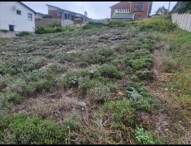 920M² VACANT LAND FOR SALE IN DANA BAY